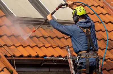 Démoussage et hydrofuge de toiture à Cornod